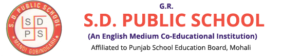 S.D. Public School